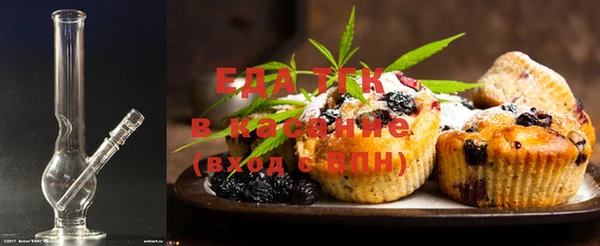 шишки Арсеньев