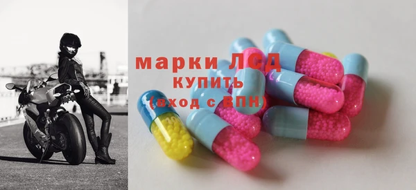 трава Аркадак