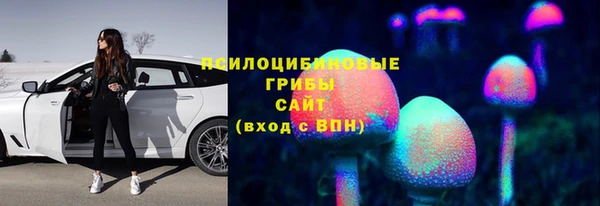 шишки Арсеньев
