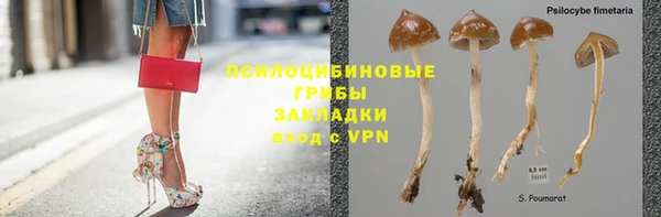 трава Аркадак