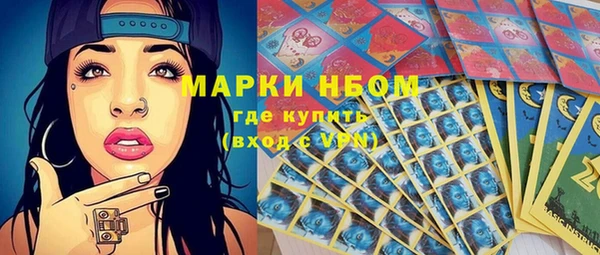 шишки Арсеньев