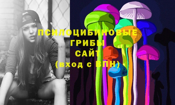 трава Аркадак