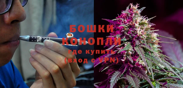 трава Аркадак