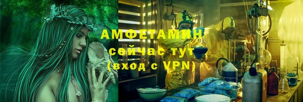 трава Аркадак