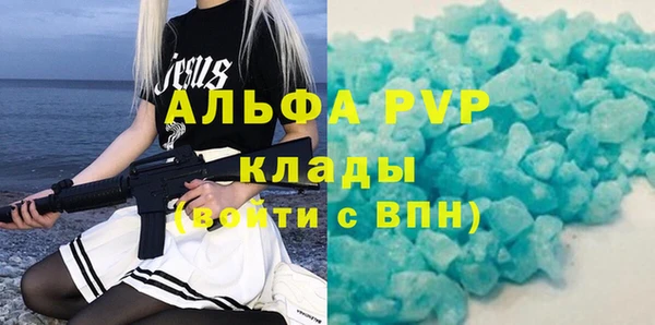 шишки Арсеньев