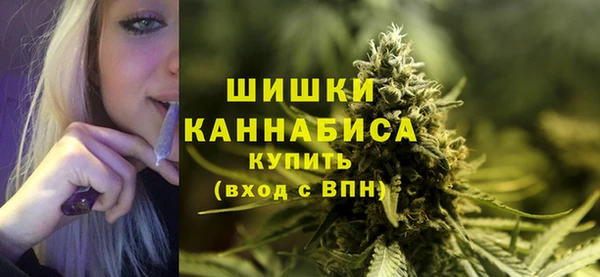 трава Аркадак
